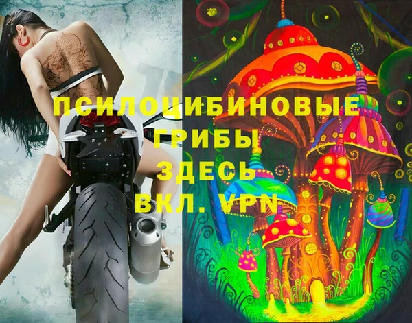 mdpv Алзамай