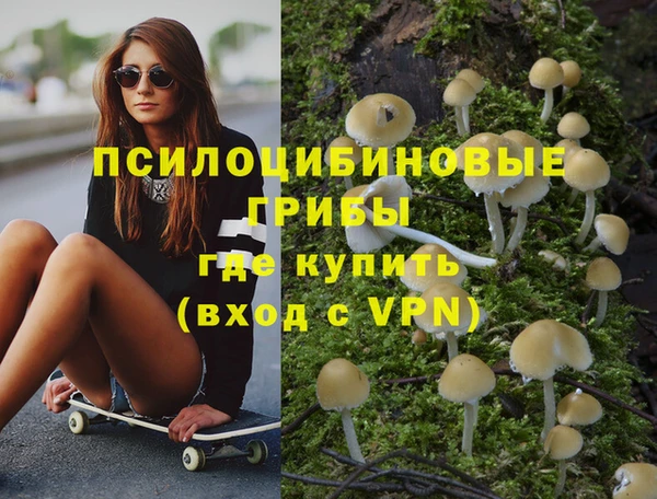 дурь Алексеевка