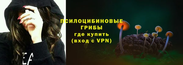 дурь Алексин