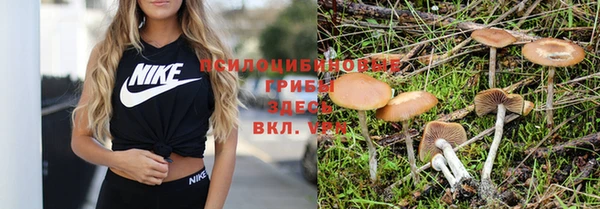 дурь Алексеевка