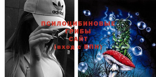 дурь Алексин