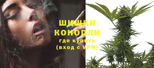 сатива Сатка